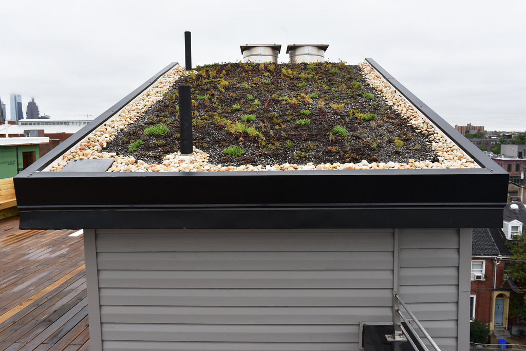 Green roof